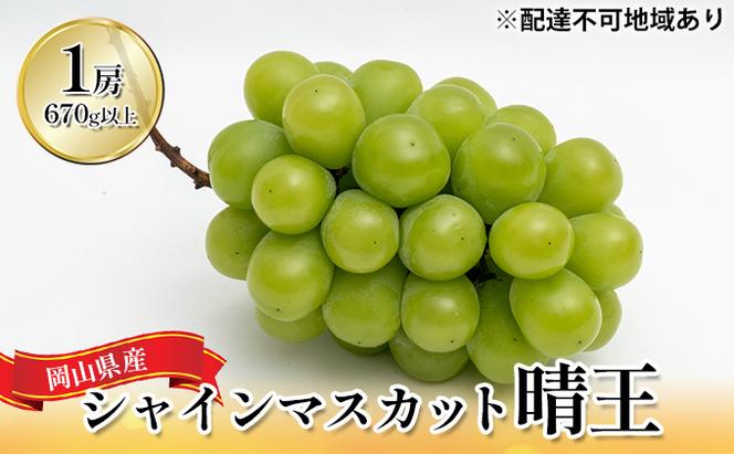 ぶどう 2024年 先行予約 シャイン マスカット 晴王 1房（1房670g以上）化粧箱入り マスカット ブドウ 葡萄  岡山県産 国産 フルーツ 果物 ギフト