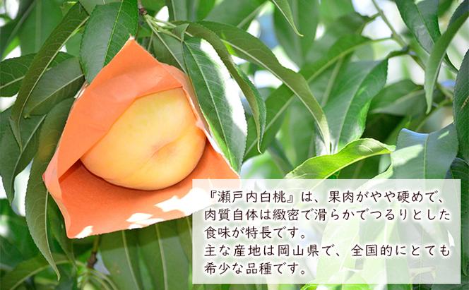 桃 2024年 先行予約 瀬戸内 白桃 約1.5kg 5～7玉 もも モモ 岡山県産 国産 フルーツ 果物 ギフト