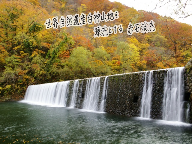 青森県鰺ヶ沢町 観光タクシープラン「赤石渓流とくろくまの滝コース」