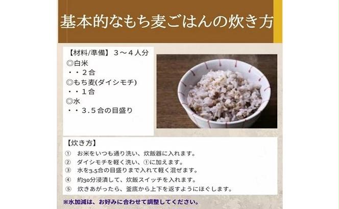 岡山県玉野市産 もち麦 ダイシモチ 10kg (5kg×2袋)
