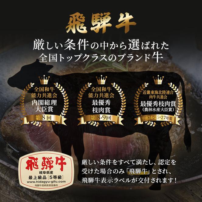 ふるさと納税　飛騨牛 牛肉 焼肉 肩肉 (ウデ)  500g×2 計1kg A5 和牛