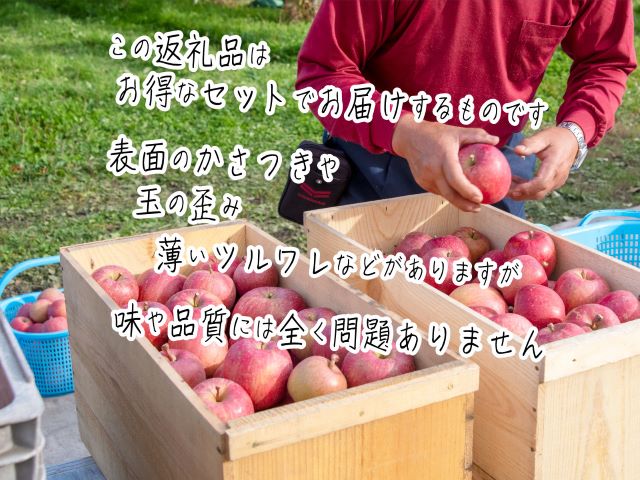 りんご 訳あり 青森 サンふじ リンゴ 約 10kg (28～36玉) 青森県 鰺ヶ沢町産 ヒバリノ園 訳アリ フルーツ 果物 果物類 白神山地 林檎 サンフジ ふじ 2024 ※オンライン決済のみ