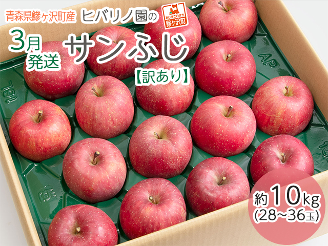 チョゲピ様専用ページ 農家直送青森県産りんご使用 りんごチップス26袋