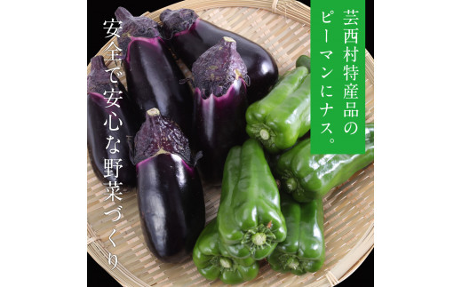 朝どれ！ 野菜詰合せ／芸西村で採れた新鮮な野菜6～8種類をお届けします。特産品 ピーマン ナス こだわりの栽培方法 環境に優しい 安全で安心な野菜づくり  支援品