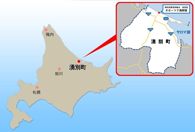 【国内消費拡大求む】先行予約 2024年4月から配送 北海道 湧別町 塩水 生うに 100g×2 ウニ エゾバフンウニ