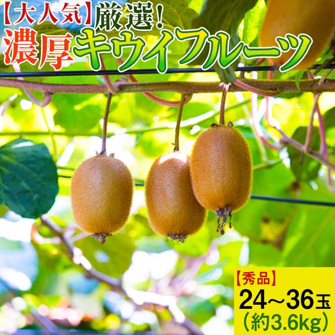 【大人気】厳選！ 濃厚キウイフルーツ【秀品】24～36玉(約3.6kg) ｜ くだもの 果物 フルーツ 産地直送 ※2025年1月中旬～3月上旬頃より順次発送予定