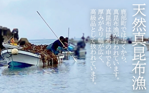 北海道鹿部町の水産加工屋が作った”ほぐし醤油たらこ” 1kg（500g×2袋）味付きたらこ タラコ 北海道産