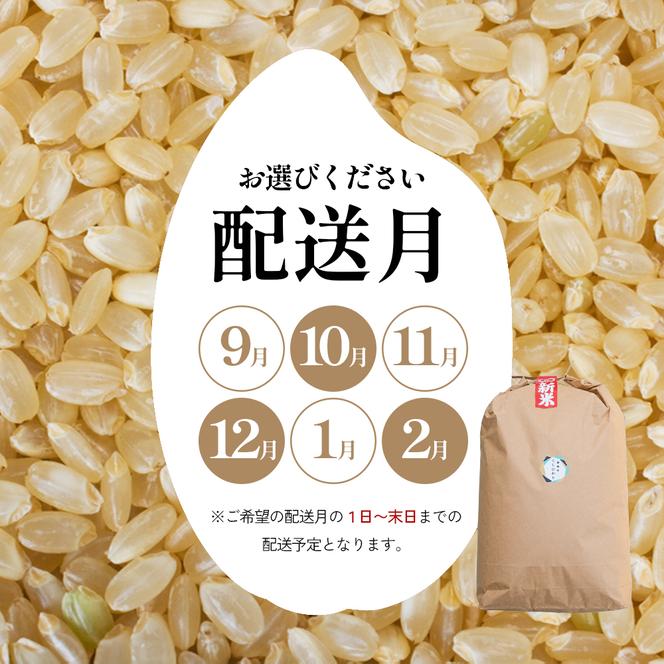 令和6年産 ふじもとファームの新米【コシヒカリ（クリーン精米）5kg】白米