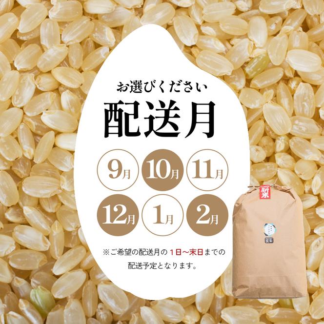 令和6年産 ふじもとファームの新米【コシヒカリ（玄米）10kg】