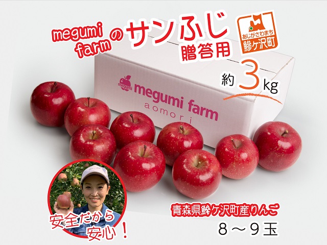 りんご 青森 贈答用 サンふじ リンゴ 約 3kg (8～9玉) 青森県 鰺ヶ沢町産 megumi farm フルーツ 果物 果物類 贈答 ギフト 白神山地 林檎 サンフジ ふじ 2024