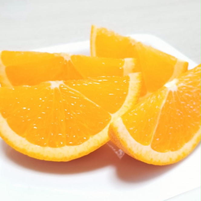 ZD6337n_有田産 濃厚 バレンシアオレンジ 約7.5kg