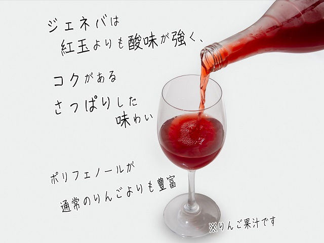 風丸農場　赤いりんごのジュース　無添加 青森県産　720ml×2本セット