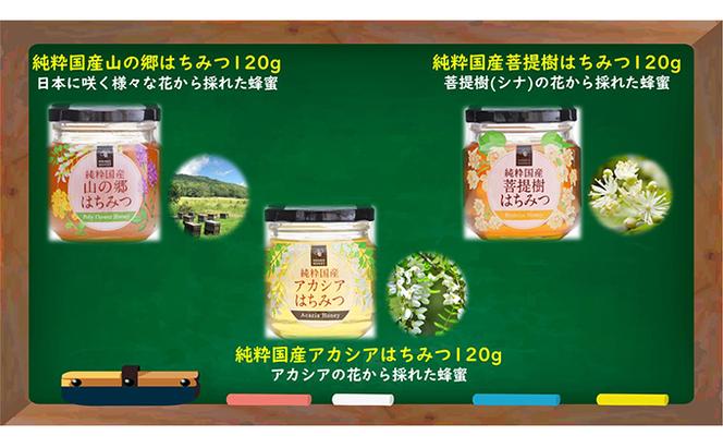 国産はちみつ120g　3本入り