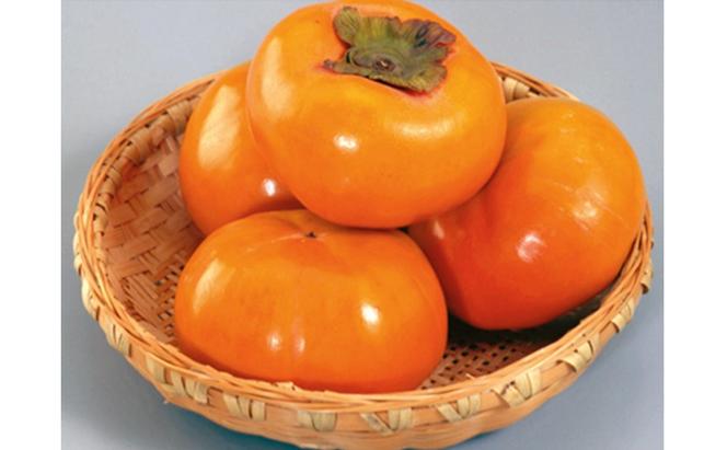 瀬戸の秋の果実3ヶ月定期便「シャインマスカット、さぬきゴールドキウイ、富有柿」