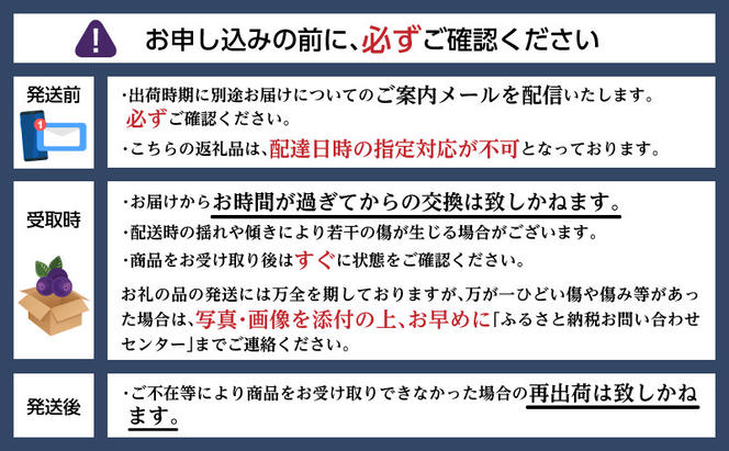 北海道 洞爺湖町産 フレッシュ ブルーベリー 500g 2パック 計1kg 8月1日～25日頃お届け 北海道産 ブルーベリー 果物 果実 フルーツ 新鮮 国産 ベリー 農作物 お取り寄せ 冷凍 長期 保存 送料無料