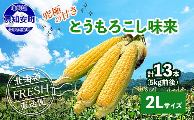 北海道 倶知安町 とうもろこし 味来 みらい 北海道 5kg 2Lサイズ 大きめ 夏野菜 とうきび 旬 新鮮 野菜 トウモロコシ ギフト 産地直送 産直 お取り寄せ 詰め合わせ 送料無料 13本 高糖度 