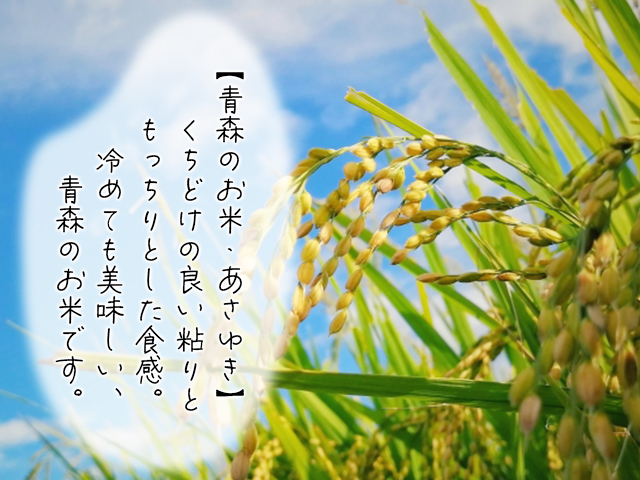 数量限定 新米 あさゆき 玄米 30kg H.GREENWORK 令和6年産 米 お米 ご飯 30キロ 希少 限定 先行 予約 先行予約 こめ おこめ コメ ごはん 青森 青森県 鯵ヶ沢町 2024年 2024