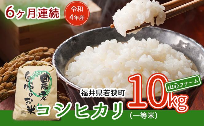 6ヶ月連続】令和5年産福井県若狭町コシヒカリ（一等米）10kg（山心