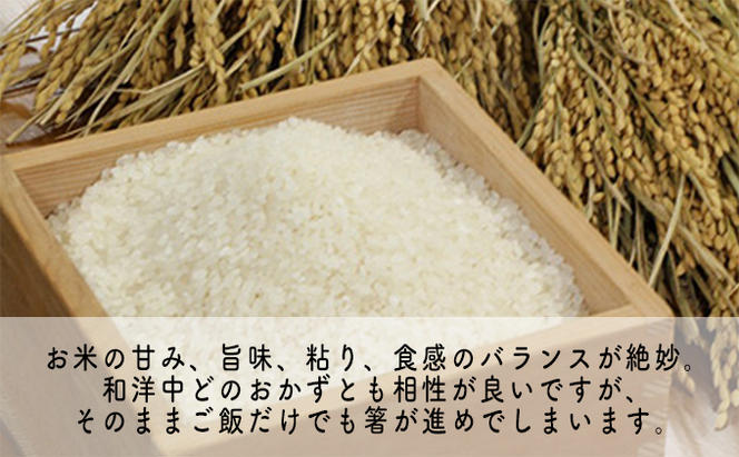 6ヶ月連続】令和5年産福井県若狭町コシヒカリ（一等米）10kg（山心