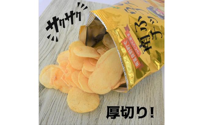 南ふらのチップス（うすしお味）100g×10袋 北海道 南富良野町 ポテトチップス ポテチ お菓子 菓子 うすしお じゃがいも ジャガイモ 大容量