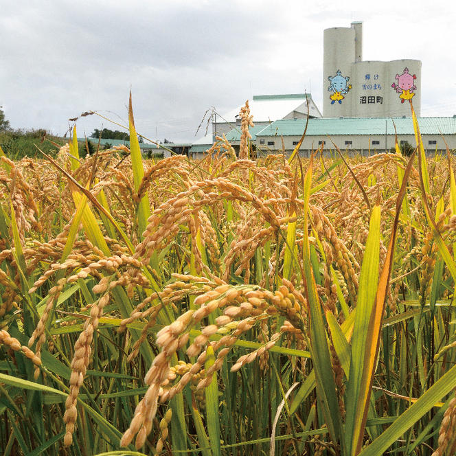 【先行予約】令和7年産 特Aランク米 ななつぼし 精米 2kg（2kg×1袋）雪冷気 籾貯蔵 北海道 雪中米