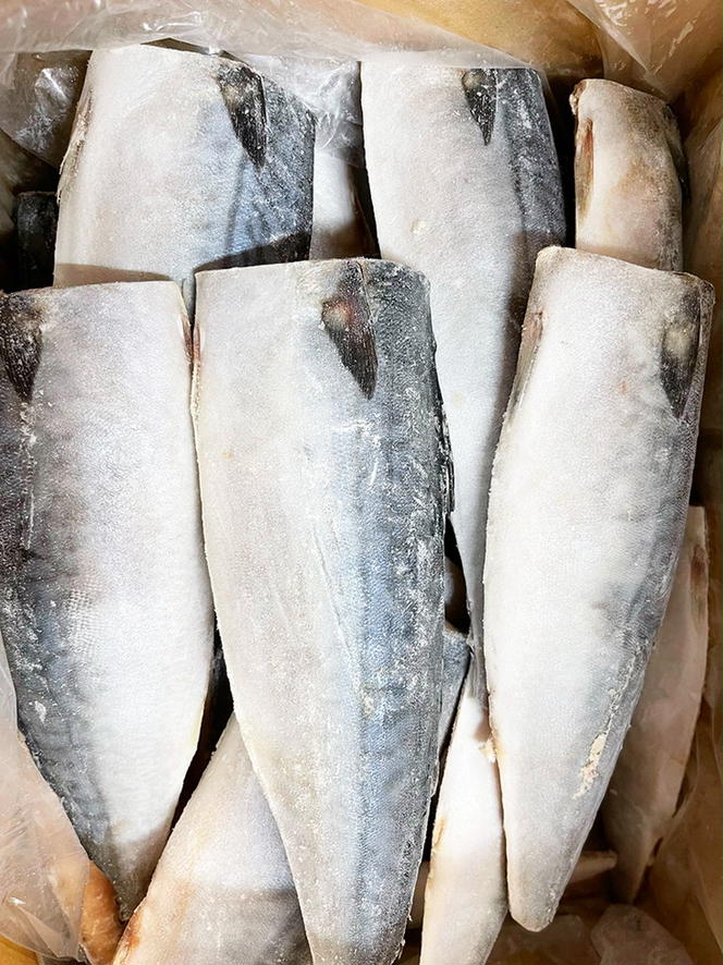 【ご家庭用】塩さばフィレ3.5kg | 鯖 サバ 焼き魚 おかず 惣菜 冷凍 切り身◆