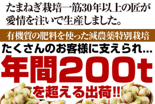 今井ファームの淡路島たまねぎ「かくし玉」 2kg　　[玉ねぎ 玉葱 たまねぎ 玉ねぎ 玉葱 たまねぎ 玉ねぎ 玉葱 たまねぎ 淡路島 玉ねぎ 玉ねぎ 玉ねぎ 玉ねぎ 玉ねぎ 玉ねぎ 玉ねぎ 玉ねぎ 玉ねぎ 玉ねぎ 玉ねぎ 玉ねぎ 玉ねぎ]