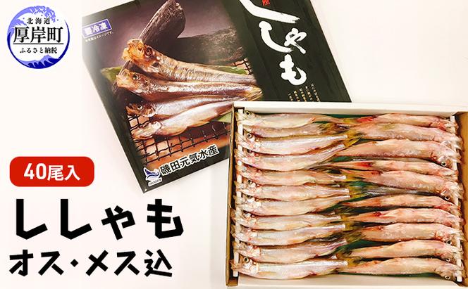 干し ししゃも オス・メス込 40尾入 (オス20尾,メス20尾,合計40尾入り)