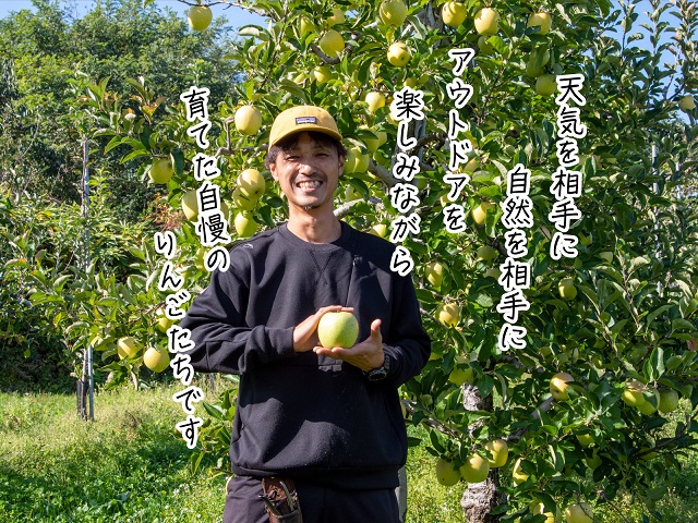 りんご 青森 王林 リンゴ 約 5kg (12～18玉) 青森県 鰺ヶ沢町産 西樹園 フルーツ 果物 果物類 白神山地 林檎 2024