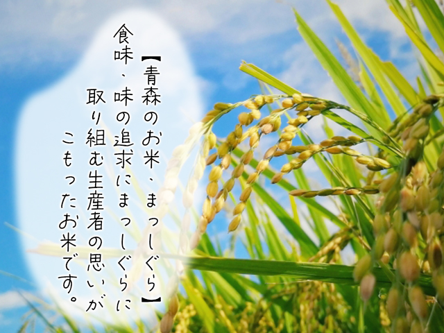 新米 定期便 6ヶ月 令和6年産 まっしぐら 無洗米 10kg (5kg×2袋) 米 白米 こめ お米 おこめ コメ ご飯 ごはん 令和6年 H.GREENWORK 6回 半年 お楽しみ 青森 青森県