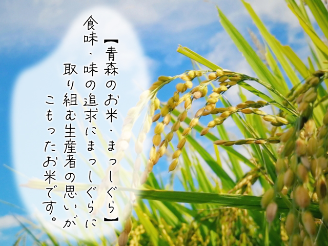 新米 定期便 3ヶ月 令和6年産 まっしぐら 白米 5kg 1袋 米 精米 こめ お米 おこめ コメ ご飯 ごはん 令和6年 H.GREENWORK 6回 半年 お楽しみ 青森 青森県