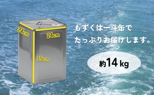 勝連産・太もずく（塩蔵タイプ）　約14kg一斗缶入り【嘉保水産】