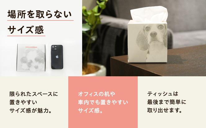 キューブ ティッシュ 場所をとらない キューブ型 ティッシュ 14箱 