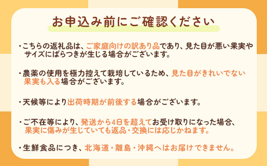 【先行予約】【数量限定】濃厚有田みかん（ご家庭用）10kg 【2024年11月上旬～11月下旬頃発送】または【2024年12月上旬～12月下旬頃発送】
※北海道・沖縄・離島への配送不可