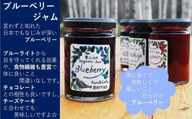 2種のベリー【ブルーベリー＆ラズベリー】手作りジャムセット 各2個 北海道 南富良野町 ジャム ベリー ブルーベリー ラズベリー ソース