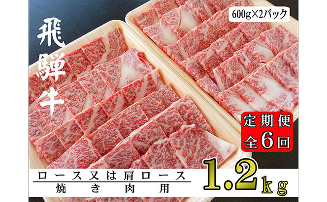 【6ヶ月定期便】A5ランク飛騨牛焼き肉1.2kg（ロース又は肩ロース）