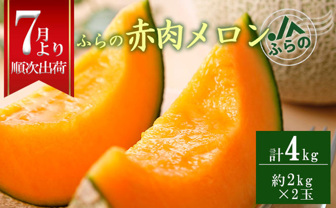 ◆JAふらの◆厳選！ふらの赤肉メロン2kg×2玉  メロン めろん 富良野メロン 果物 くだもの フルーツ 富良野 デザート 北海道 贈り物 ギフト