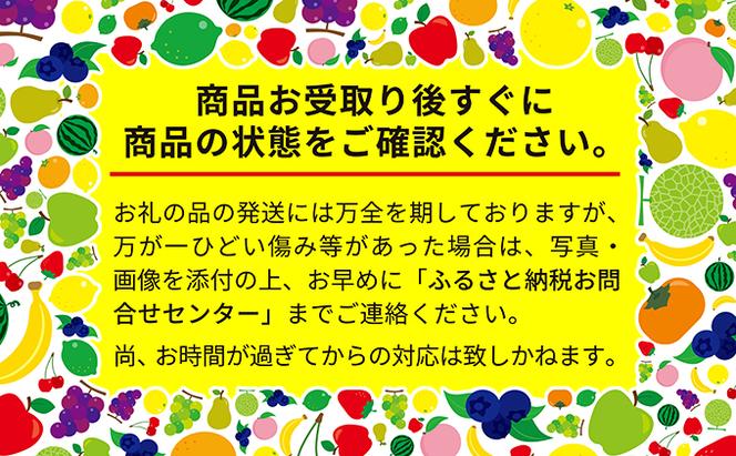 先行予約 2024年7月から順次出荷　北海道 仁木町産【生産者厳選品】JA新おたる さくらんぼ（ 南陽 ）600g