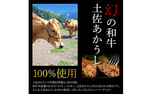 “土佐あかうし100％”土佐あかうしハンバーグ150g×5コ