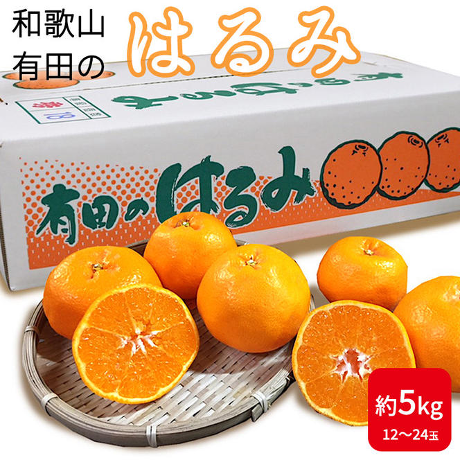 ZE6381n_【先行予約】和歌山県産 有田の はるみ 5kg 12玉～24玉 【まごころ手選別】