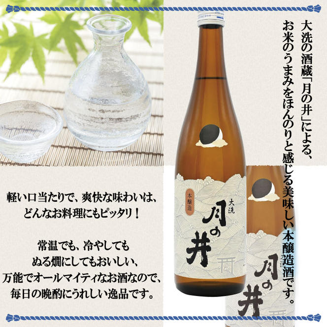 純米酒 1.8L 本醸造 1.8L 2本 セット 月の井 大洗 地酒 日本酒 茨城 1800ml
