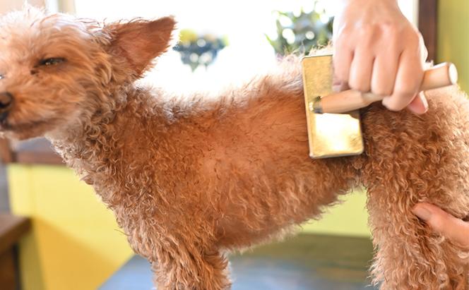 【犬用】ドライジェルニームシャンプー　400g　水の要らないシャンプー