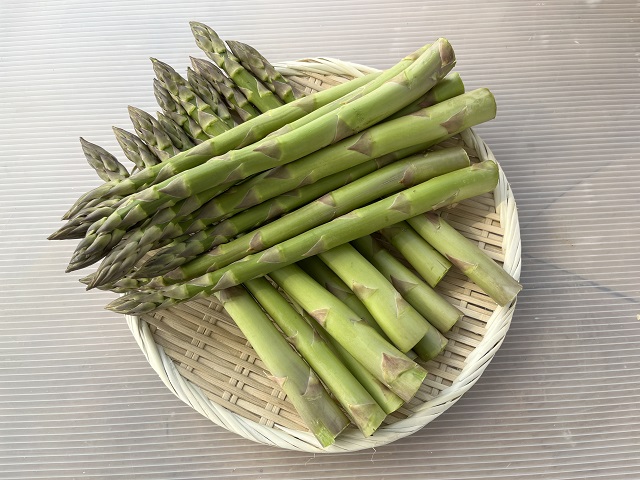 先行予約 川田農園 夏アスパラガス 約 1.5kg + 100g （M～2L混合）7月～9月発送 アスパラ 野菜 旬の野菜 産地直送 季節の野菜 青森県 鰺ヶ沢町