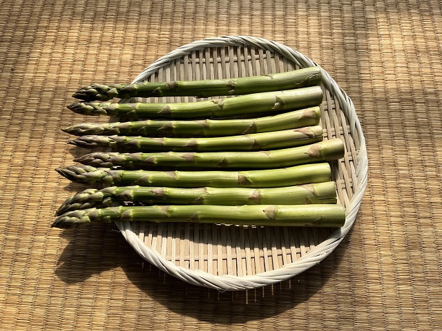 先行予約 川田農園 夏アスパラガス 約1kg + 100g （M～2L混合）7月～9月発送 アスパラ 野菜 旬の野菜 産地直送 季節の野菜 青森県 鰺ヶ沢町