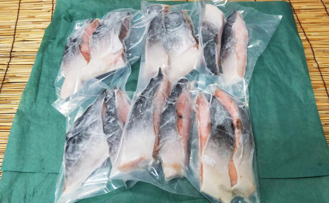 北海道伊達市 低温熟成 マス（甘塩）約1.2kg