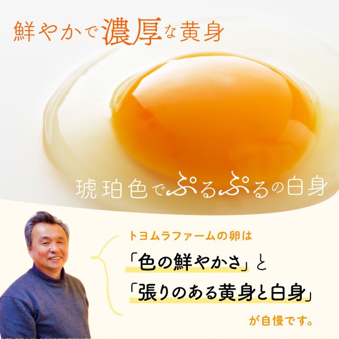 U-9 ◆12ヵ月定期便◆ 黄身がしっかり濃厚な卵【アスタの恵み】90個×12