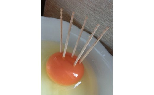 U-7 ◆3ヵ月定期便◆ 黄身がしっかり濃厚な卵【アスタの恵み】90個×3