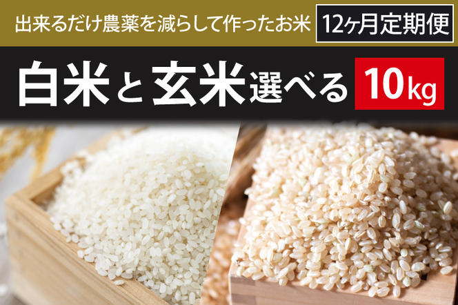 BI-86 【2024年9月下旬より順次発送】12ヶ月定期便【できるだけ農薬を減らして作ったお米】こしひかり　10kg×12回（白米または玄米）