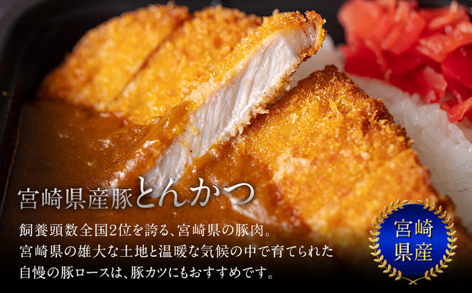 宮崎県産豚肉お料理セット5.4kg