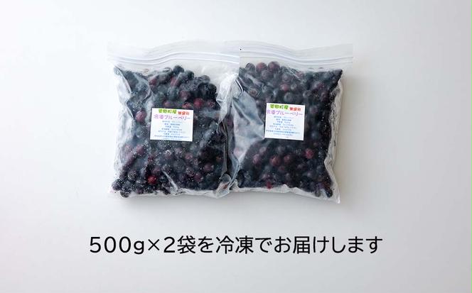 【数量限定】冷凍 ブルーベリー1kg（500g×2袋）